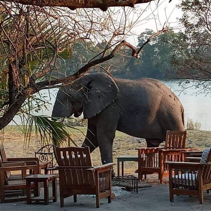 McBride’s Camp Kafue National Park